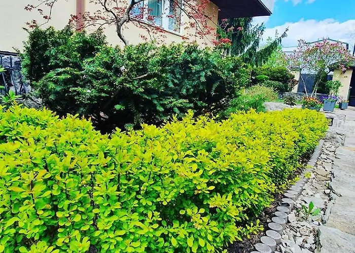 Bed & Breakfast Bthouse, Goscinne Warsaw